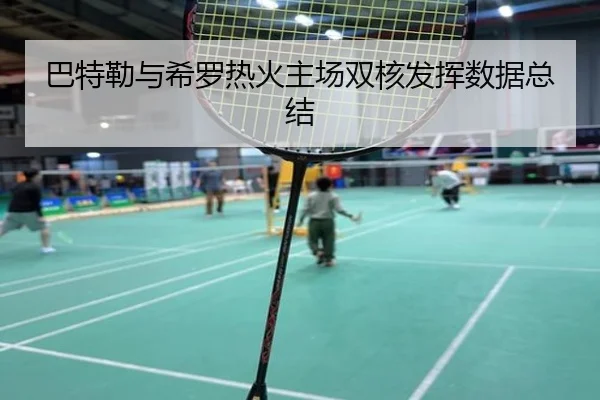 巴特勒与希罗热火主场双核发挥数据总结 | APP